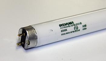 LAMP, F15T8CW #21616