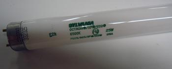 LAMP, F025/865/XP/ECO 36"