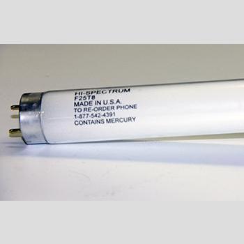 LAMP, F025T8 TL741 36" HIGH SPECTRUM