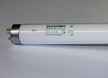 LAMP, F032/741/ECO T8 48" 32W, 4100K