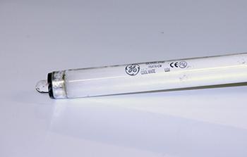 LAMP, F64T6/CW 40W DELI 72 