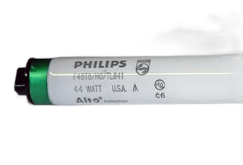 LAMP, FLUORESCENT, HO, T8, 48" 44W, 4100K, #388108