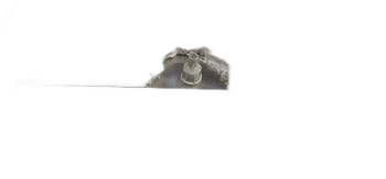 PAN, DRAIN EVAP TPP-44/67/93 19 7/8" X 6 5/8"