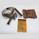 VALVE EXPANSION EBFSE-AAZP, INLET STRAINER