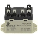 Relay, Double Pole 110v Coil
