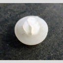 PLUG, PUSH IN PLASTIC PLUG